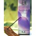 KA-FUH - Lavender 120 Sticks by Nippon KODO, Japanese Quality Incense